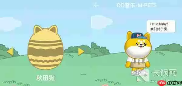 QQ音乐宠物样子介绍