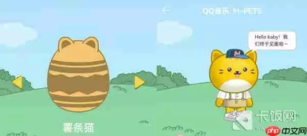 QQ音乐宠物样子介绍