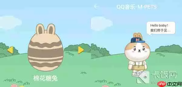 QQ音乐宠物样子介绍