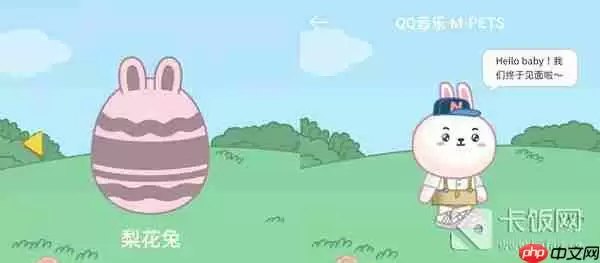 QQ音乐宠物样子介绍