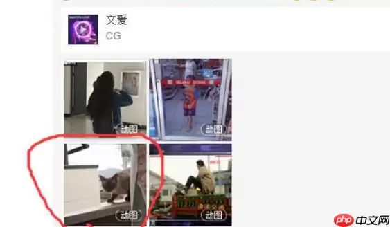 网易云音乐gif动图怎么下载保存?下载保存gif动图步骤分享