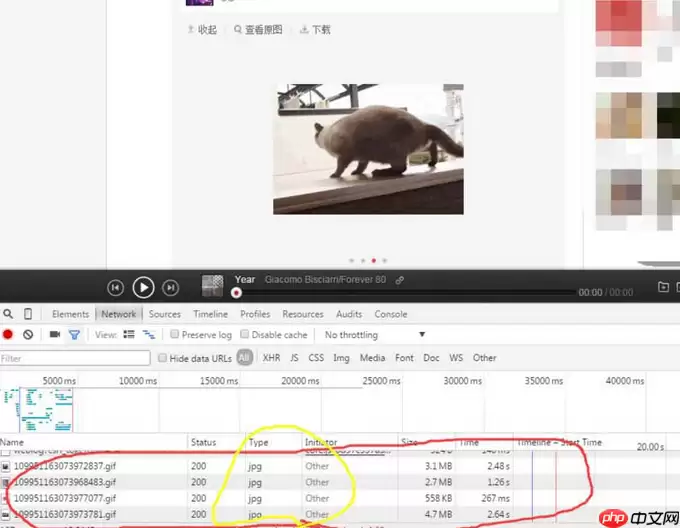 网易云音乐gif动图怎么下载保存?下载保存gif动图步骤分享
