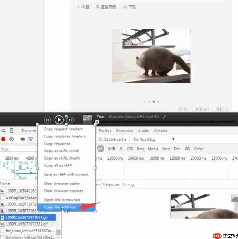 网易云音乐gif动图怎么下载保存?下载保存gif动图步骤分享