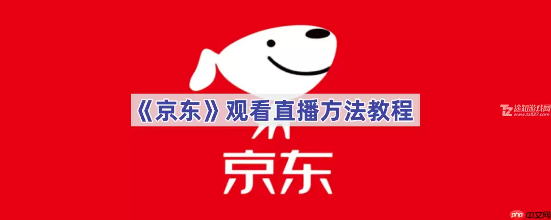 《京东》观看直播方法教程