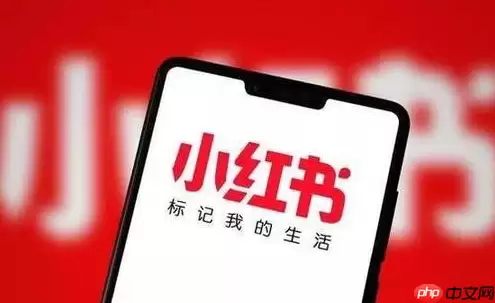 小红书在线状态如何公开 小红书在线状态公开方法介绍