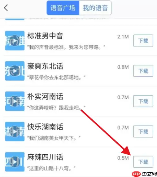 高德地图方言导航怎么启动