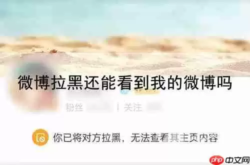 微博拉黑还能看到我的微博吗