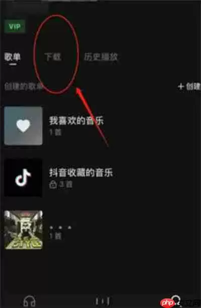 汽水音乐下载的歌曲在哪里查看