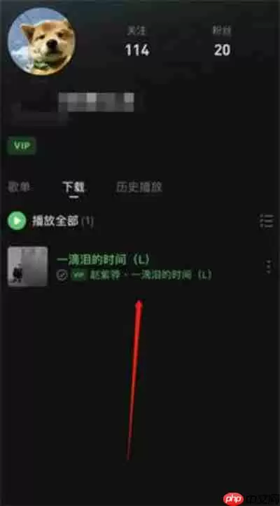 汽水音乐下载的歌曲在哪里查看