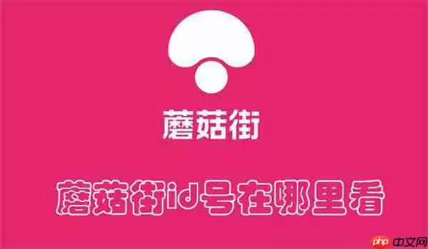 蘑菇街id号在哪里看