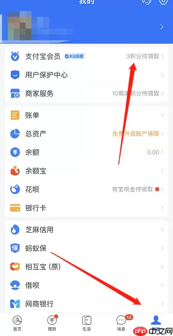 支付宝元宵节付款码皮肤怎么获得