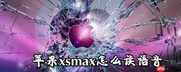 苹果xsmax如何读语音_苹果xsmax读语音方法详解