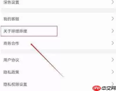 哔哩哔哩怎么查看软件版本