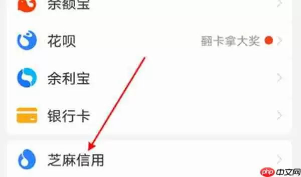 支付宝中的芝麻GO怎么申请退出