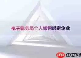 电子税务局怎么查询绑定企业