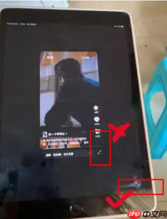 红果在ipad上不能全屏吗 红果短剧ipad不全屏解决方法