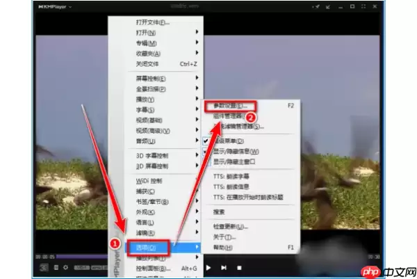kmplayer plus怎么导入字幕?kmplayer plus导入字幕的操作流程