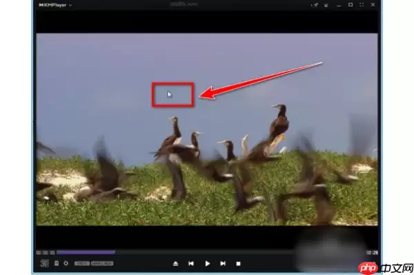 kmplayer plus怎么导入字幕?kmplayer plus导入字幕的操作流程