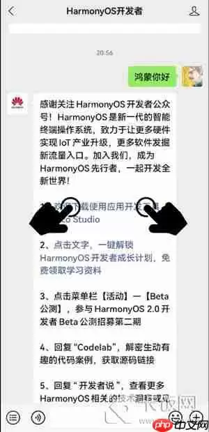 华为聊天隐私保护怎么用