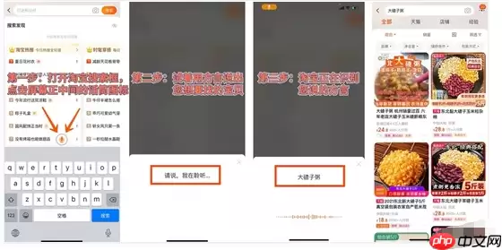 淘宝方言语音搜索功能怎么用