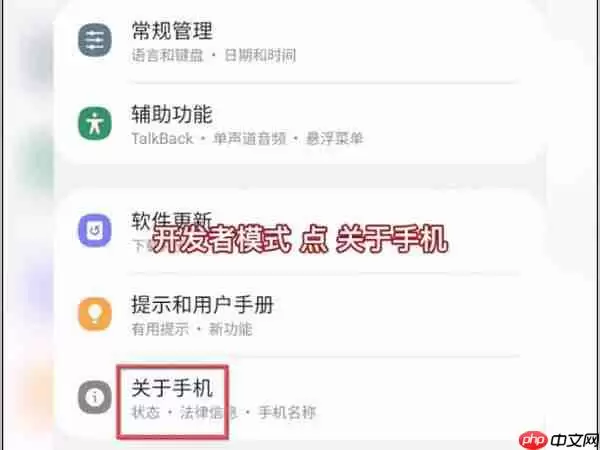三星手机开发者模式怎么打开