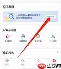 手机上如何查个人征信中心官网-手机上怎样查询个人征信中心官网