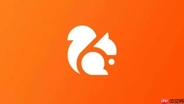 uc浏览器极速版赚钱安全吗 极速版赚钱安全性全面评估