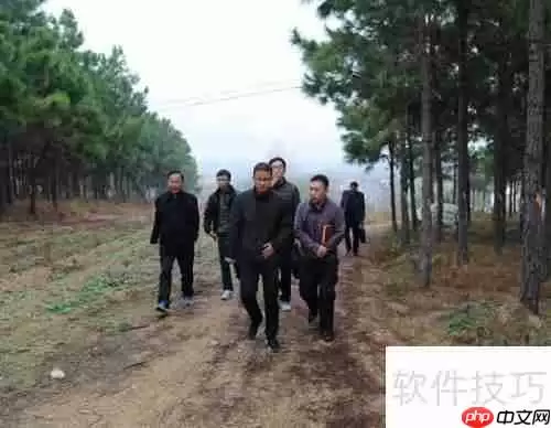 人事调查来临，如何巧妙应对？