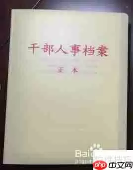 人事档案整理:提升管理效率的关键步骤