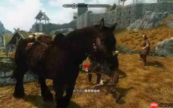 上古卷轴5马怎么召唤过来