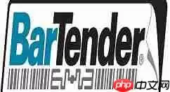 BarTender怎么打印连续条码标签？BarTender打印连续条码标签步骤详解