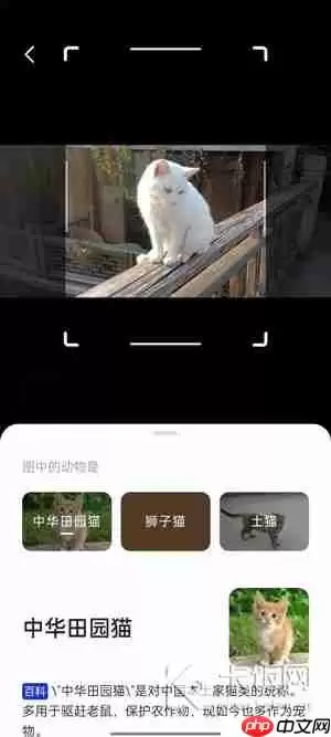 夸克AI相机在哪里