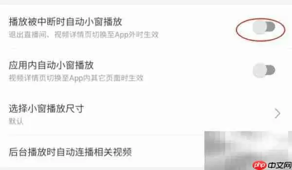 哔哩哔哩锁屏播放设置方法