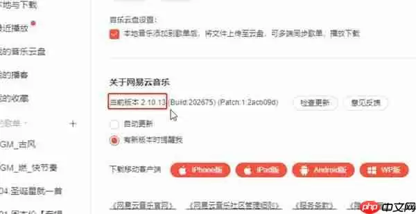 网易云曲面歌词美化怎么弄 网易云曲面歌词美化设置教程