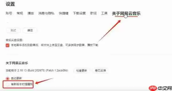 网易云曲面歌词美化怎么弄 网易云曲面歌词美化设置教程