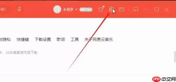 网易云曲面歌词美化怎么弄 网易云曲面歌词美化设置教程