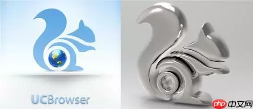 UC浏览器视频导出到外置盘