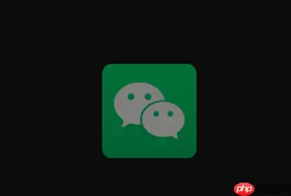 微信支付怎么没了