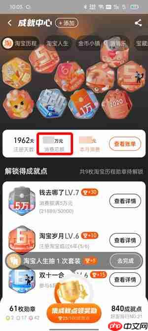 2022淘宝怎么看一共花了多少钱明细