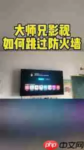 大师兄软件无法使用如何解决