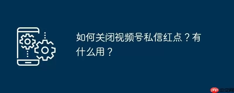 如何关闭视频号私信红点?有什么用?