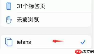 Safari怎么关闭标签页组