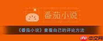 番茄小说如何查看自己的评论