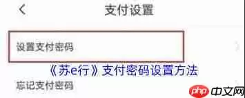 苏e行如何关闭免密支付