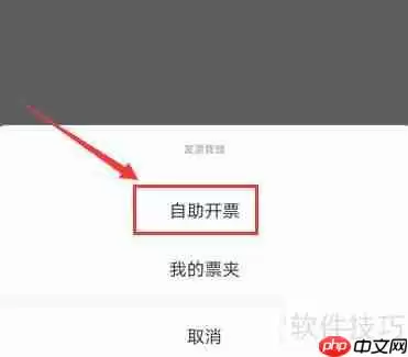 票易通开票流程指南