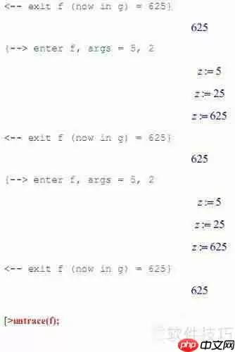 Maple编程调试技巧:掌握计算过程的高效方法