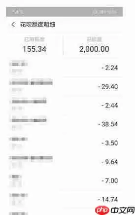 支付宝如何查花呗消费记录？查花呗消费记录的方法介绍