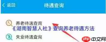 湖南智慧人社怎么测算养老金