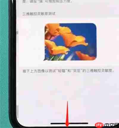 在iphonexr中怎么打开半屏功能？打开半屏功能的方法说明