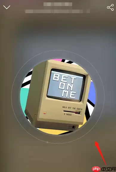 网易云音乐怎么查看曲风?网易云音乐查看曲风方法